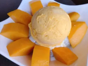 The Mango Garden