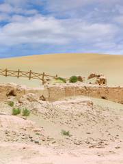 Yaowangdong Ruins