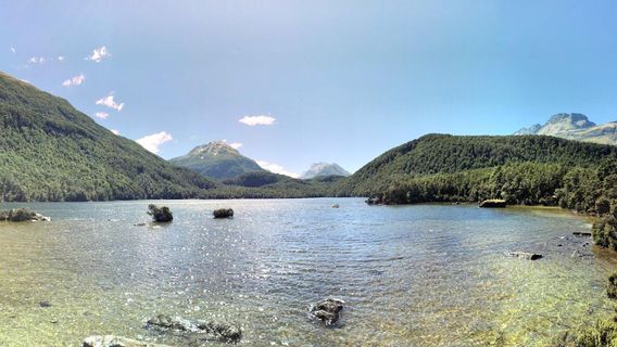 Lake Sylvan Track