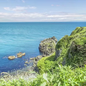 立待岬
