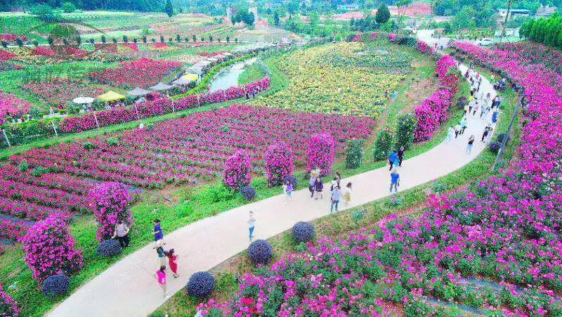 Huatianjindi·Xiyue Valley