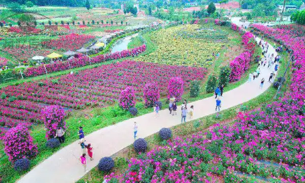 Hotels in Jingyang District