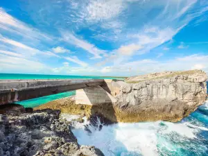 Glass Window Bridge