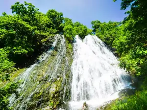 Waterfall of Oshinkoshin