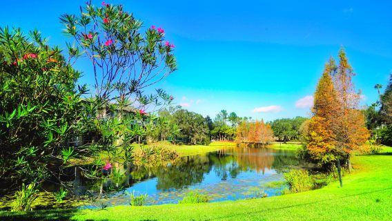 Sand Key Park
