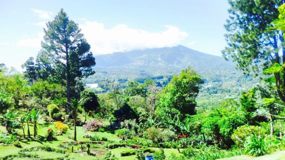 Eco-Themed Garden El Explorador