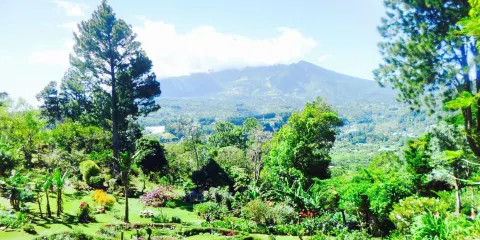 El Explorador Gardens