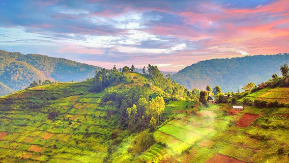 Uganda