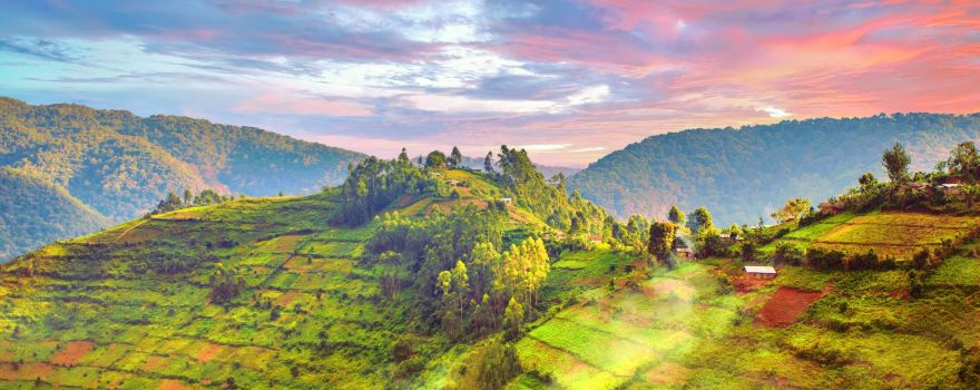 Bwindi Impenetrable Forest National Park