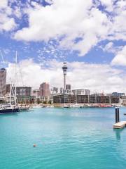 Viaduct Harbour