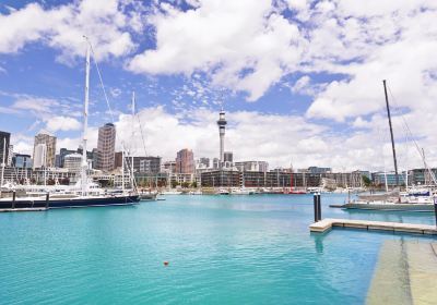 Viaduct Harbour