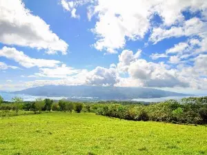 Taravao Plateau