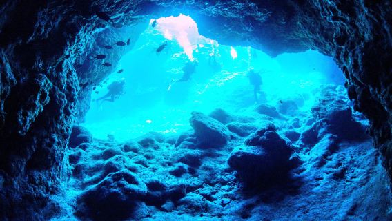 Okinawa Blue Cave Diving Half-Day Tour: English/Japanese Instructors/Equipment Included/Shore Entry No Seasickness