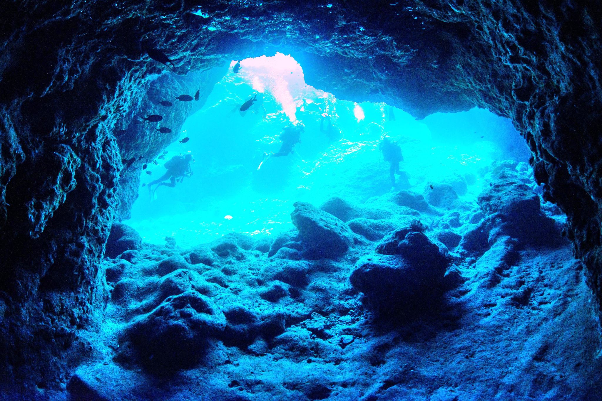 Okinawa Blue Cave Diving Half-Day Tour: English/Japanese Instructors/Equipment Included/Shore Entry No Seasickness