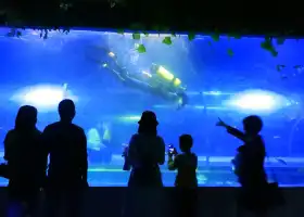 Mianyang Sea World