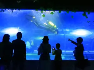 Mianyang Sea World