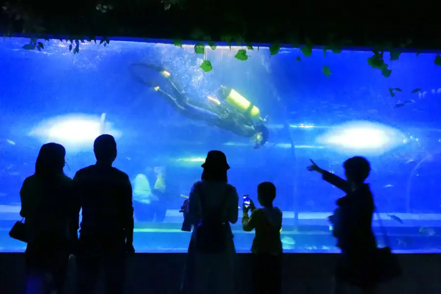 Mianyang Sea World