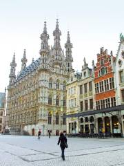 Stadhuis van Leuven