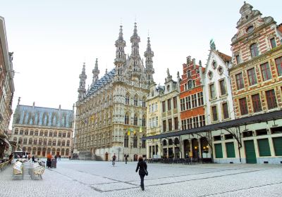 Stadhuis van Leuven