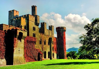 National Trust - Penrhyn Castle & Garden