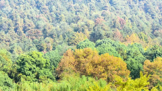 펑황산 공원