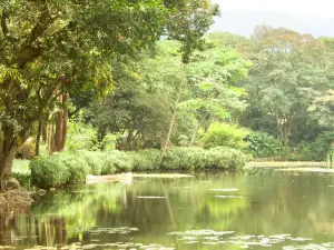 Jardin Botanico Medellin