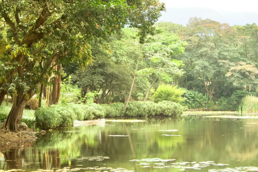 Botanischer Garten von Medellin