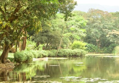 Jardin Botanico Medellin