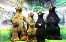 Музей Тедди Беже