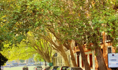 San Telmo