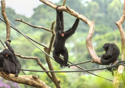 サンパウロ動物園