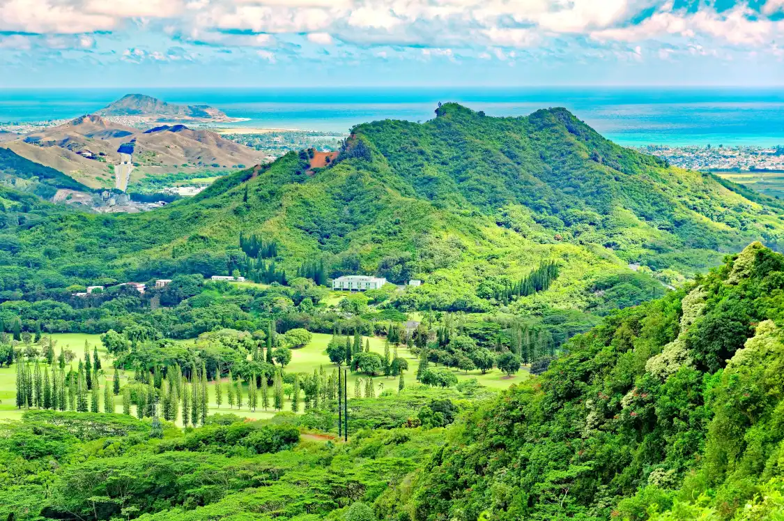 Hotels near Nuuanu Valley Rain Forest
