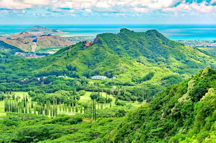 Hotels near Duke Paoa Kahanamoku Beach Park