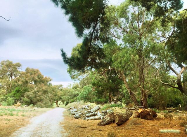 Anglesea