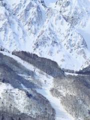 白馬八方尾根滑雪場