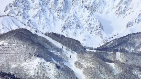 白馬八方尾根滑雪場