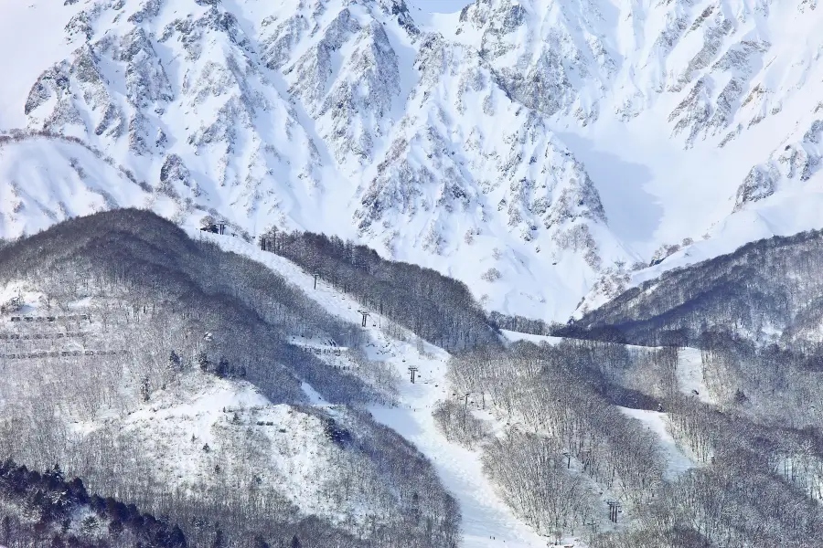 白馬八方尾根滑雪場