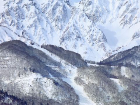 Hotels near Oide Park