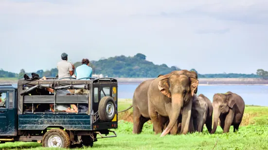 Minneriya National Park