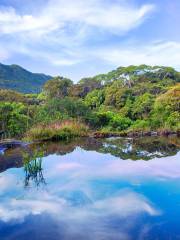 Reserva forestal de Sinharaja