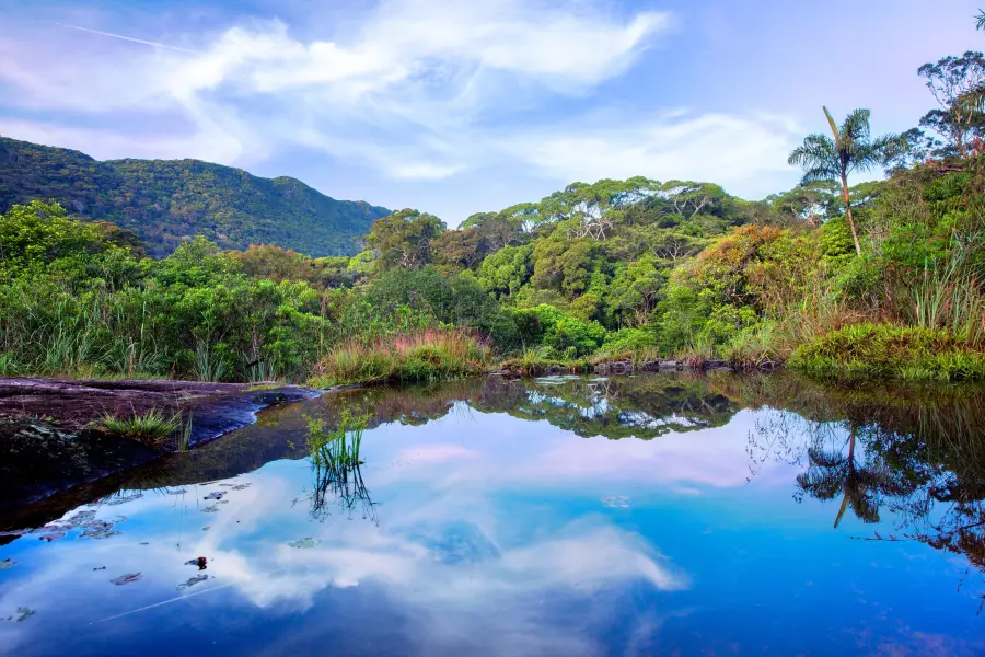 Reserva forestal de Sinharaja