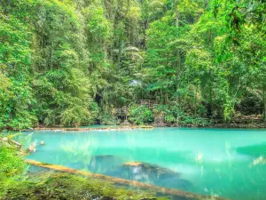 อุทยานแห่งชาติธารโบกขรณี