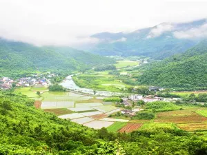 Peng Lai Xian Dong