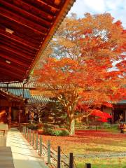 Genkō-an Temple