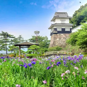 Omura Park大村公園