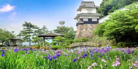 Omura Park大村公園