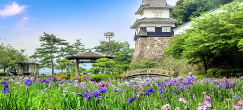 大村港周辺のホテル