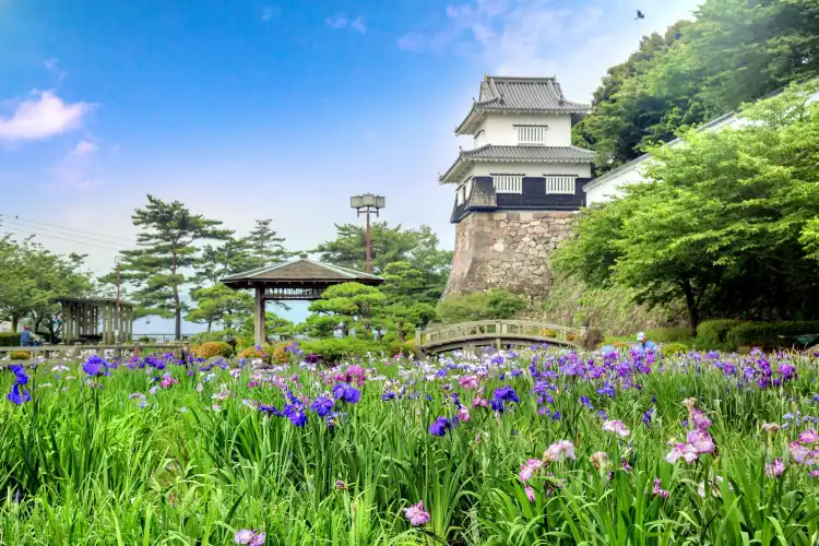 Hotels near Old En'yuji garden