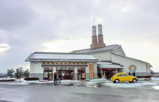 鳥取+柯南小鎮+浦富海岸+米家商店街【中文司機】