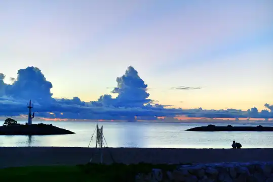 鄰近老虎海灘的酒店